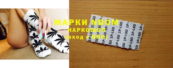 ГАЛЛЮЦИНОГЕННЫЕ ГРИБЫ Баксан