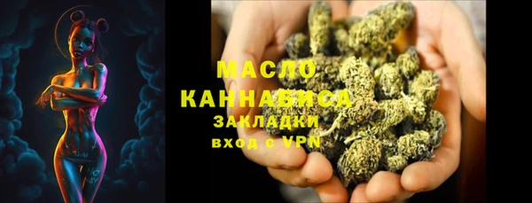 сатива Великий Новгород