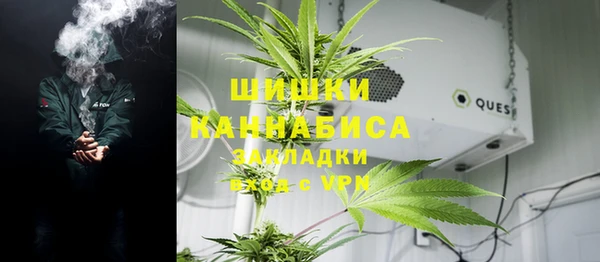 ГАЛЛЮЦИНОГЕННЫЕ ГРИБЫ Баксан